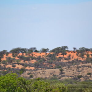 Aranos – Afrikaans MP3