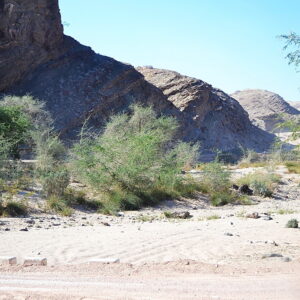 Kuiseb Canyon – Afrikaans MP3