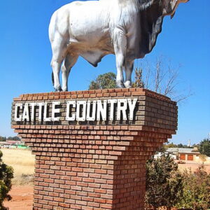 Gobabis – Afrikaans MP4