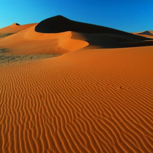 Namib Woestyn – Afrikaans MP4