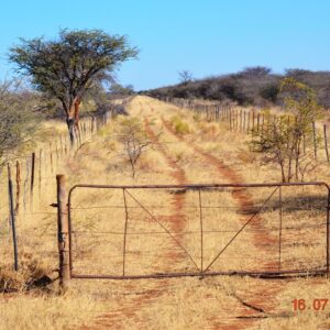 Niemandsland Afr – Afrikaans MP3
