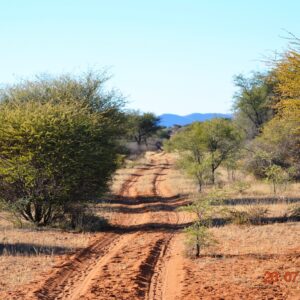 Niemandsland Afr – Afrikaans MP4