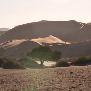Sossusvlei – Duits MP3