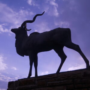 Windhoek & Omgewing Versameling