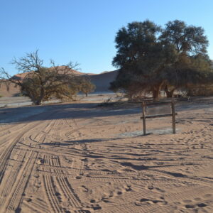Woestyn Versameling – Sossusvlei, Namib & Solitaire
